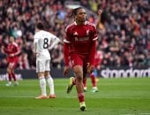 نجوموها: محمد صلاح ساعدنى كثيرا.. وريدناب: أحد عظماء الدورى الإنجليزى