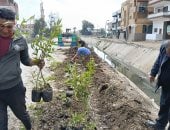 محافظ كفر الشيخ: زراعة الأشجار وإنشاء الحدائق وتجميل الميادين وتطهير مصرف