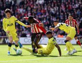 توتنهام يواصل السقوط فى الدوري الإنجليزي بهدف أمام سندرلاند.. فيديو 
