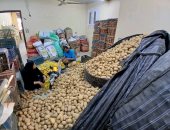 كيلو البطاطس بـ7.5 جنيه.. اعرف أسعار الخضراوات والفاكهة فى منافذ الوادى الجديد