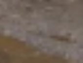 أمانة جازان السعودية تكثف جهودها لتصريف مياه الأمطار وضمان سلامة الطرق وحركة السير