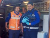 محافظ الغربية يشيد بجهود هيئة الإسعاف وسرعة تعاملها مع حالة ولادة مفاجئة