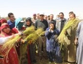 عاوزينها تبقى جنة.. الذهب الأخضر لأول مرة فى المنيا.. المحافظة تزرع 600 فدان كتان وأشهر المراكز أبو قرقاص.. محافظ المنيا: الظهير الصحراوي قاطرة التنمية المستدامة.. وكيل وزارة الزراعة: إنتاج الفدان يصل لـ 4.5 طن