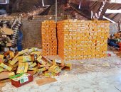 تموين الغربية: ضبط 6.5 طن زبيب مجهولة المصدر ومغشوش داخل مصنع غير مرخص بالسنطة