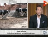 شعبة القصابين لـ كلمة أخيرة: استقرار أسعار اللحوم في عيد الأضحى