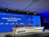 صندوق النقد الدولى يتوقع ارتفاع نمو الاقتصاد المصرى إلى 4.8% العام المقبل
