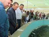 محافظ البحر الأحمر يتفقد مشروع وادى حوضين فى شلاتين.. فيديو وصور