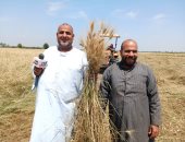 بدء توريد القمح المحلى من المزارعين  غدا وحتى 15 أغسطس 2026 .. تجهيز 400 نقطة استلام فى الصوامع والشون الحديثة بالمحافظات.. الحكومة تستهدف 5 ملايين طن لزيادة الاحتياطى الاستراتيجى وتقليل الاستيراد من الخارج