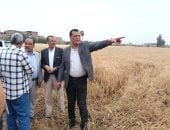 وكيل تعليم سوهاج يتابع استعدادات حصاد القمح بمزرعة الثانوية الزراعية