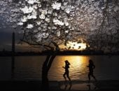 الكاميرا حول العالم.. لقطات ساحرة مغامرات مثيرة 