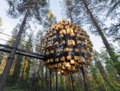 أعشاش فندقية.. 350 محل لإقامة الطيور فى فندق بالسويد