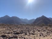 أبرز المعالم الطبيعية فى البحر الأحمر.. واحة الضباب فى حلايب وجهة عشاق الطبيعة والمغامرات.. السحاب يلامس قمة جبل "علبة" بارتفاع 1435 مترًا فوق سطح البحر.. وتنبت أعلاه أشجارا نادرة أشهرها "التنين".. فيديو وصور