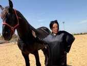 شيماء سيف تتصدر الترند.. اعرف الحكاية