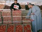 كيلو الطماطم بـ25 جنيها.. اعرف أسعار الخضروات والفاكهة بالوادي الجديد 