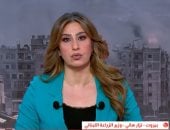 وزير الزراعة اللبنانى: مصر لعبت دورا كبيرا فى دعم لبنان وصولا لوقف إطلاق النار