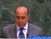 هانى سليمان: كلمة مصر بالأمم المتحدة تعكس فلسفة «الاستقرار المستدام»