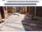 محافظ المنوفية يتابع أعمال الرصف والتطوير بمراكز أشمون وبركة السبع وقويسنا