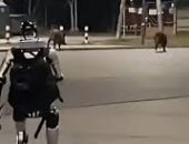 روبوت يطارد خنازير برية في وارسو ويثير جدلاً واسعًا حول الـ AI.. فيديو