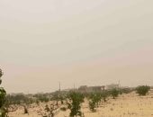 رياح شديدة تضرب شمال سيناء.. وانخفاض درجات الحرارة.. فيديو