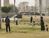 مشهد أوروبي.. الحمام بالمئات في ميدان الشهداء ببورسعيد.. فيديو وصور