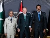 أمير قطر ورئيس تركيا يعربان عن دعمهما لجهود رئيس وزراء باكستان
