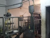 ضبط 1200 عبوة زيت طعام داخل مصنع يستخدم علامات تجارية وهمية بمركز المحلة