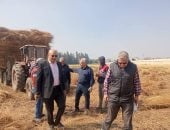 رئيس قطاع الخدمات يتابع حصاد القمح بالغربية.. صور