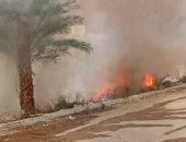 حريق محدود فى أشجار النخيل بجوار موقف سيارات إسنا دون خسائر بشرية