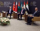 وزير الخارجية يؤكد على ثوابت الموقف المصرى من القضية الفلسطينية