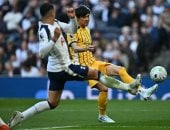 توتنهام ضد برايتون.. التعادل 1 - 1 يحسم الشوط الأول المثير بالبريميرليج