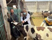 53 ندوة و2405 زيارات ميدانية لحماية الثروة الحيوانية بأسيوط 