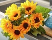 معرض الزهور 2026.. 7 أنواع نباتات تشعرك بالسعادة