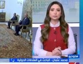 خبير علاقات دولية: العلاقات المصرية الخليجية مبنية على قاعدة صلبة