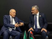 أبو الغيط يبحث مع رئيس المجلس الأعلى الليبي دفع التسوية السياسية