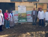 فحص وعلاج 500 رأس ماشية بالمجان في قافلة بيطرية بمركز طما فى سوهاج