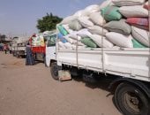 محافظ سوهاج: توريد أكثر من 3322 طن قمح للشون والصوامع منذ بدء الموسم