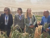 هيئة الطاقة الذرية تستقبل وفدًا ألمانيًا لتعزيز التعاون العلمي المشترك