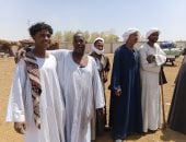 أغاني النميم والكف في سوق المواشي بكوم امبو.. صور وفيديو