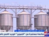 وكيل تموين القليوبية: سعر توريد القمح محفز وصرف المستحقات خلال 48 ساعة