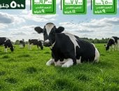 الأورمان تطلق حملة صكوك الأضاحى 2026