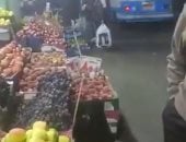 بشاير فاكهة الصيف في الأسواق.. العنب والبطيخ يتصدران الأسواق.. فيديو