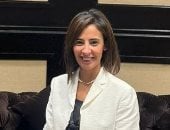 عضو لجنة العلاقات الخارجية بالشيوخ: تأمين الاحتياطى النقدى يعزز ثقل مصر الدولى