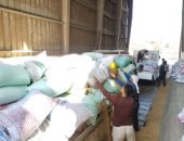 الذهب الأصفر يتدفق إلى الصوامع.. إقبال كبير على توريد القمح مع بداية الحصاد بالقليوبية