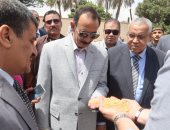 محافظ سوهاج يتفقد حصاد محصول القمح.. ويؤكد: استلام 8431 طنا