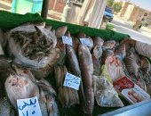 كيلو البلطى بـ 75 جنيه.. أسعار الأسماك بالوادى الجديد اليوم الثلاثاء