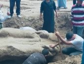 حفروا 2 متر فقط.. تفاصيل العثور على تمثال أثرى فى الشرقية بالصدفة