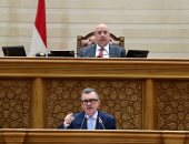 وزير التخطيط لـ"النواب": زيادة مخصصات التعليم بنسبة 11%