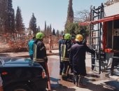 أول فيديو يرصد محاولة إمساك القرد لولو الهارب من حديقة خاصة بالمنوفية