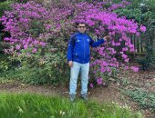  واشنطن تتزين بثوب الربيع وألوان الزهور تجذب الزوار.. فيديو وصور