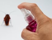3 طرق طبيعية لطرد الصراصير من المنزل.. قبل حلول الصيف
